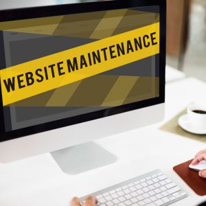 Ongoing Support and Maintenance