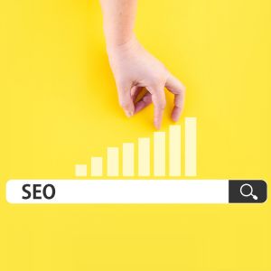 SEO Optimized